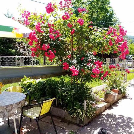 Apartman Vesna Ovcar Banja Exterior photo