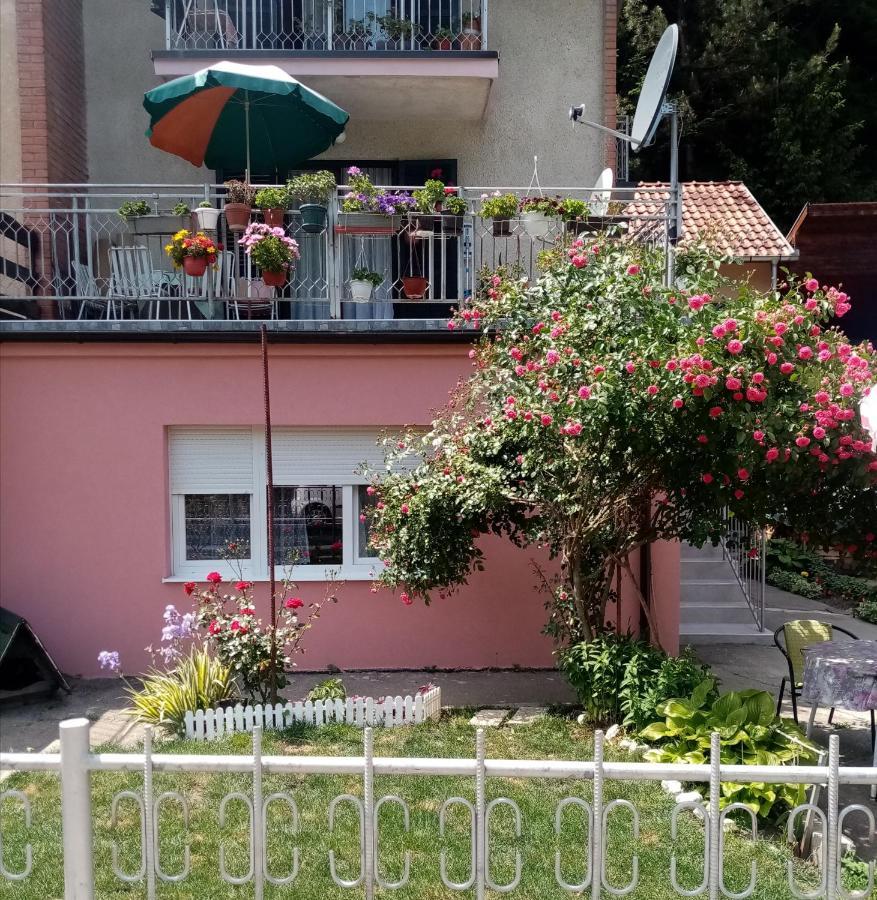 Apartman Vesna Ovcar Banja Exterior photo