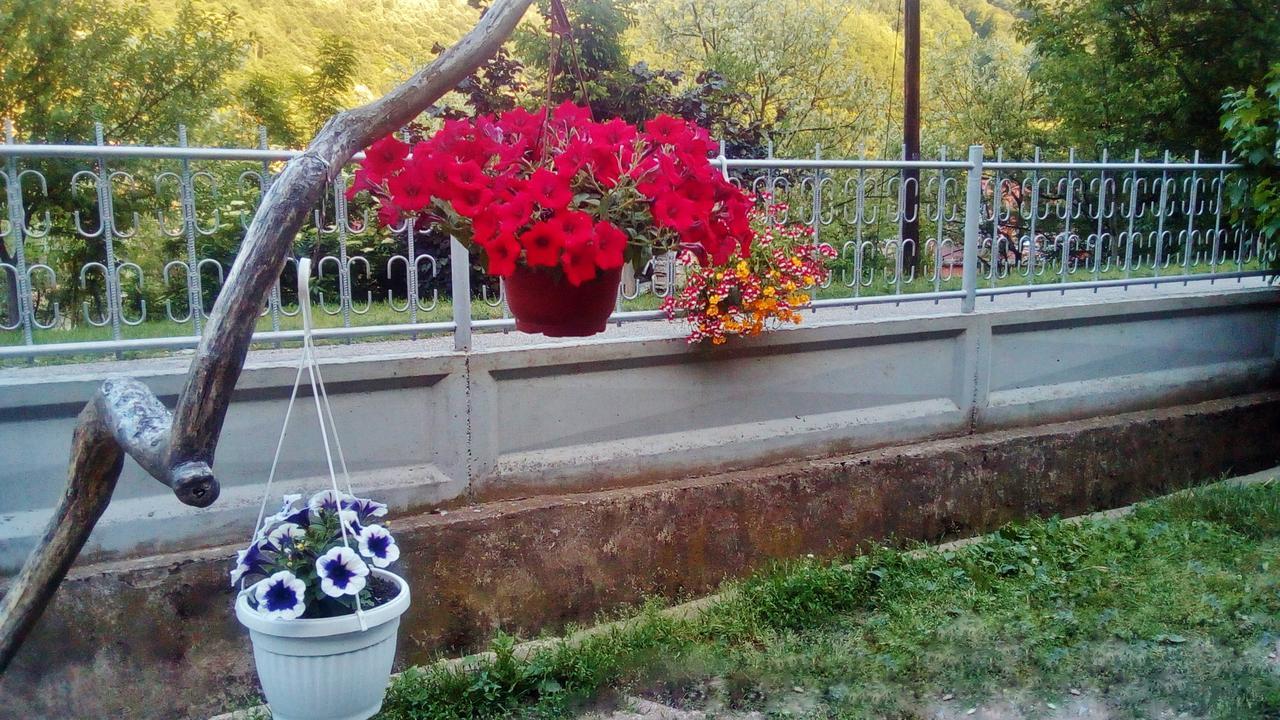 Apartman Vesna Ovcar Banja Exterior photo